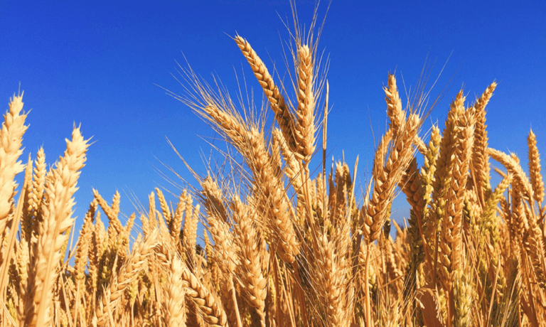 Chúa Jesus Chết Và Sống Lại Nhằm Ngày Nào?